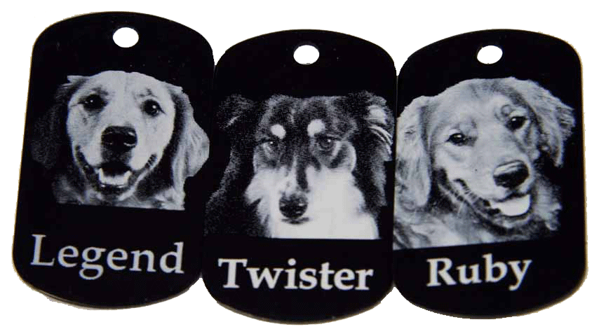 dog tags. dog tags for dogs